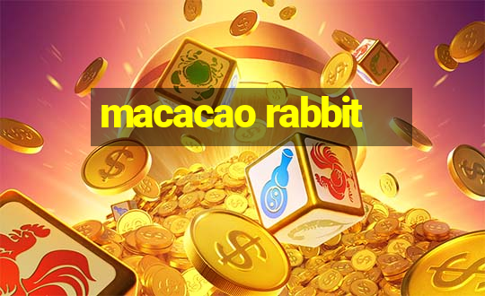 macacao rabbit