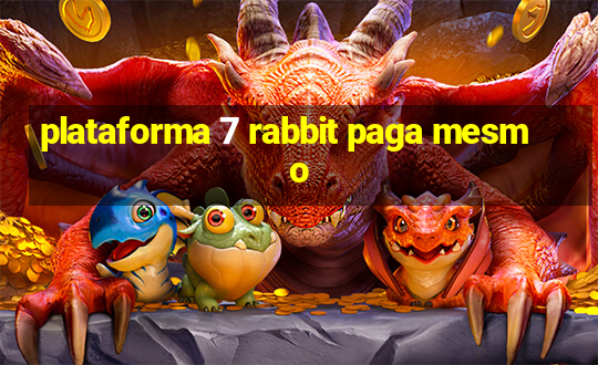 plataforma 7 rabbit paga mesmo