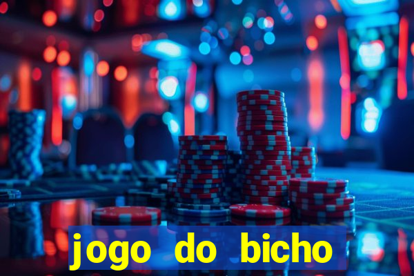 jogo do bicho crash bingo