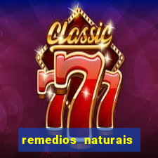 remedios naturais para diabete