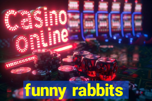 funny rabbits