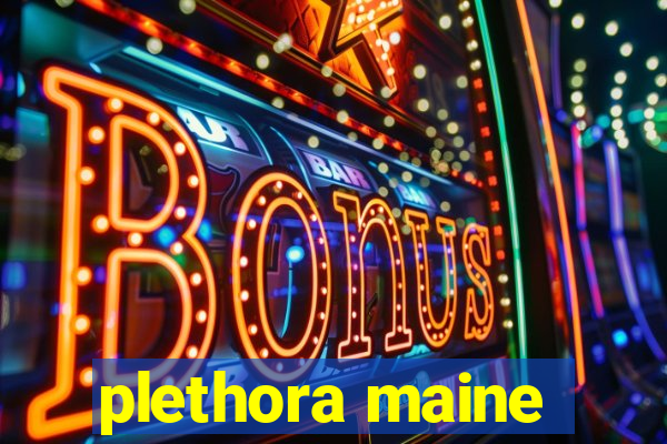 plethora maine