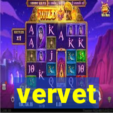 vervet