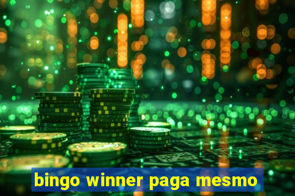 bingo winner paga mesmo