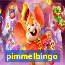 pimmelbingo