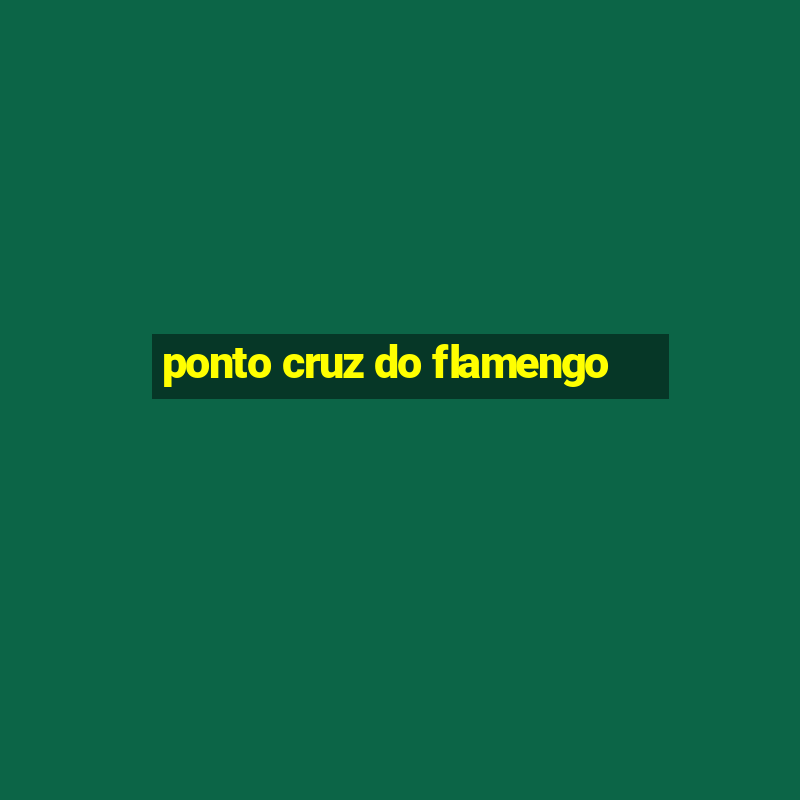 ponto cruz do flamengo