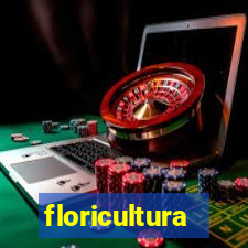 floricultura cruzeiro novo