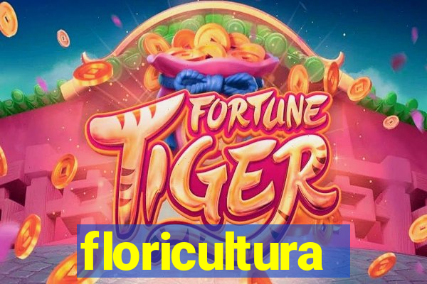 floricultura cruzeiro novo