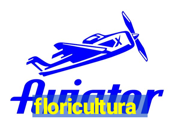 floricultura cruzeiro novo