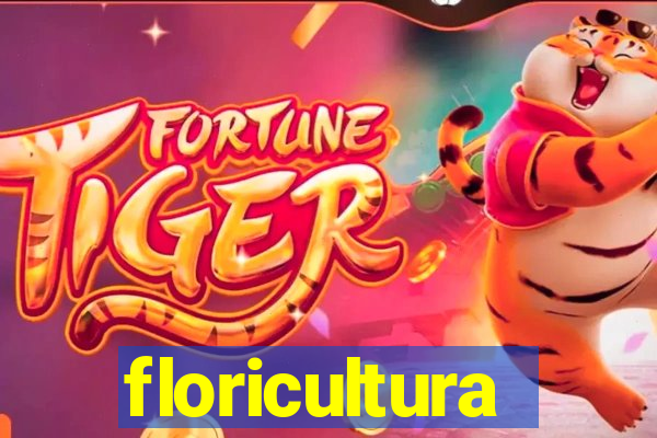 floricultura cruzeiro novo