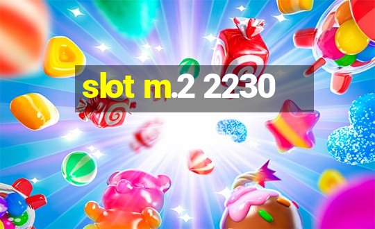 slot m.2 2230