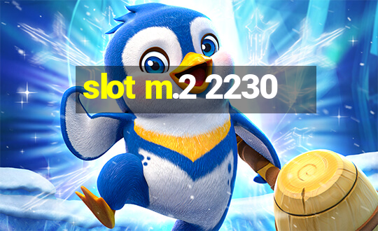 slot m.2 2230