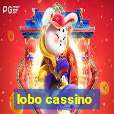 lobo cassino