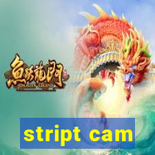 stript cam