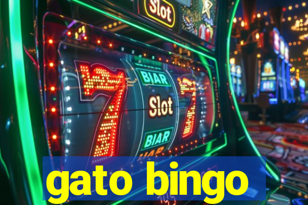 gato bingo