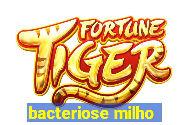 bacteriose milho