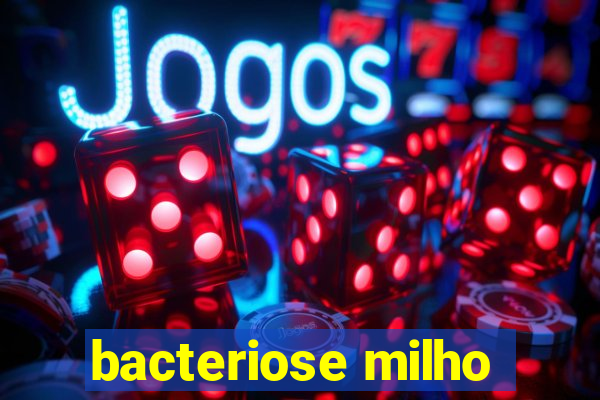 bacteriose milho