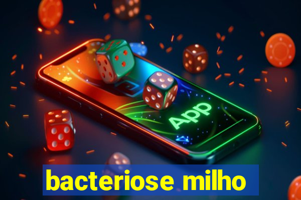 bacteriose milho