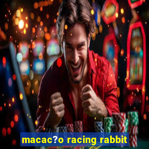 macac?o racing rabbit