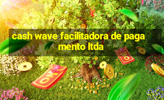 cash wave facilitadora de pagamento ltda