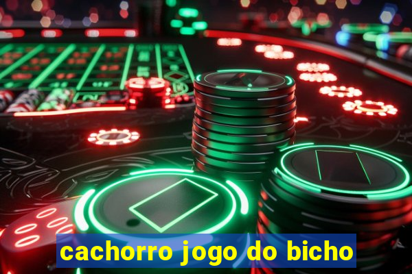 cachorro jogo do bicho