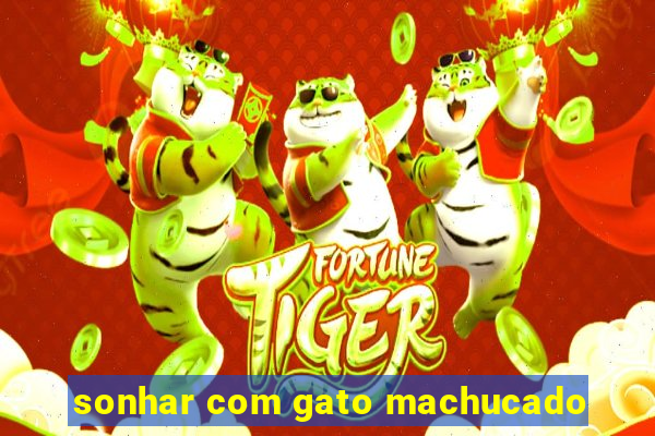 sonhar com gato machucado