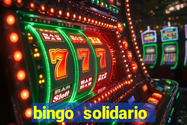 bingo solidario como organizar