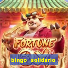 bingo solidario como organizar