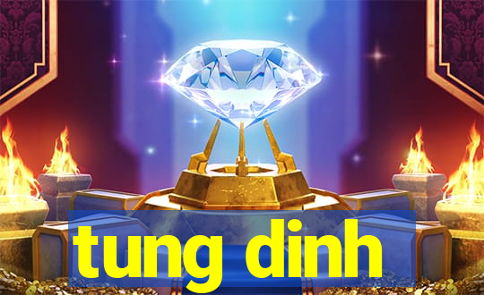 tung dinh