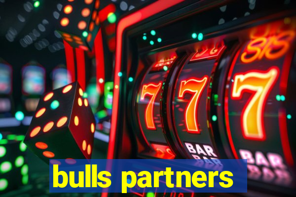 bulls partners