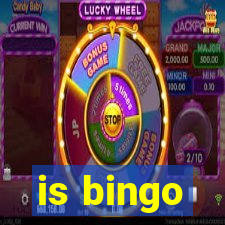 is bingo