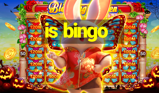 is bingo