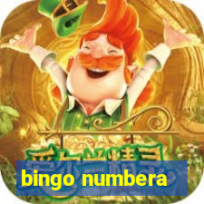 bingo numbera