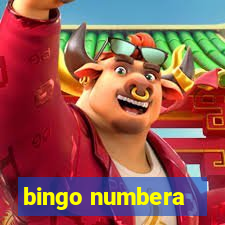 bingo numbera