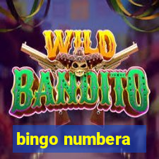 bingo numbera