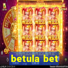 betula bet