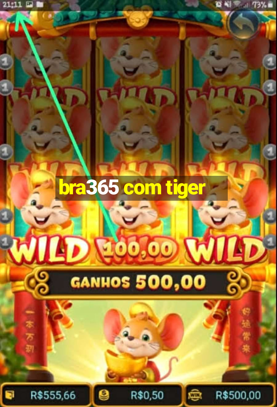 bra365 com tiger