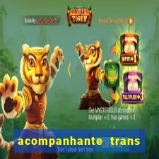 acompanhante trans baixada fluminense