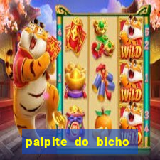 palpite do bicho deu no poste