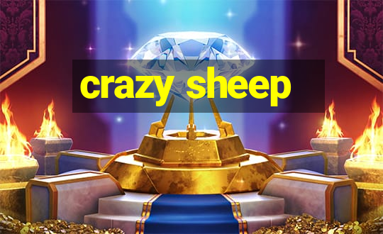 crazy sheep