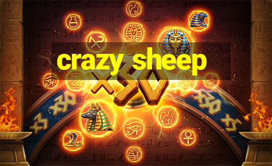 crazy sheep