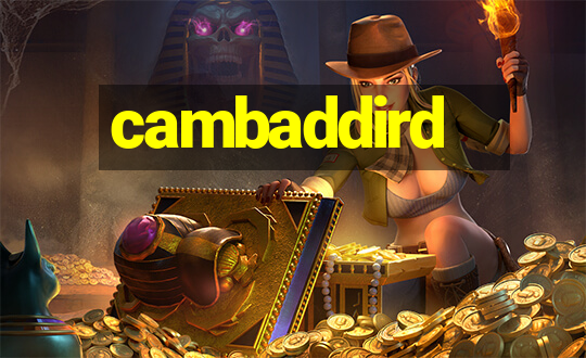 cambaddird