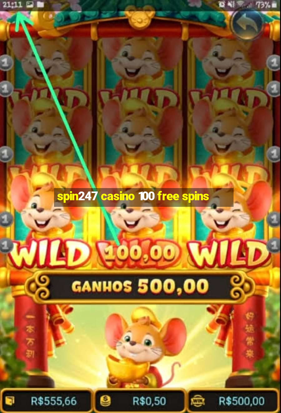 spin247 casino 100 free spins