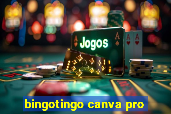 bingotingo canva pro