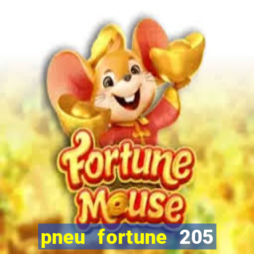 pneu fortune 205 55 r17