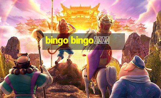 bingo bingo線上投注