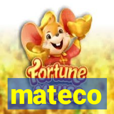 mateco