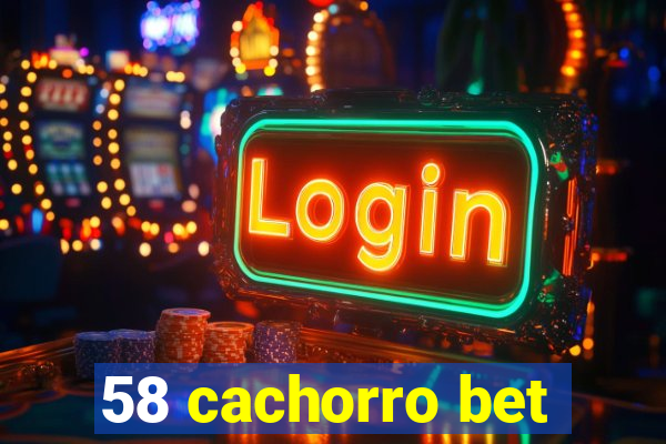 58 cachorro bet