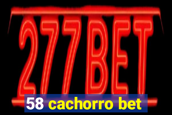 58 cachorro bet