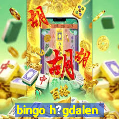 bingo h?gdalen